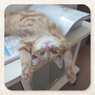 Kitty Relaxing Square Paper Coaster