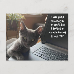 KITTY SELFIE HELLO  POSTCARD
