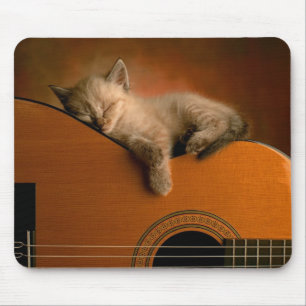 Kitty Sleeping on Guitar Mousepad