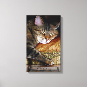 Kitty Sleepy Book Canvas Print