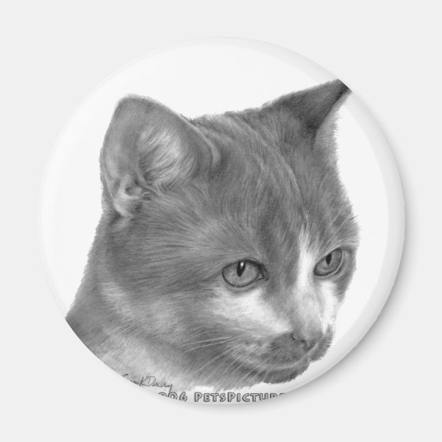 Kitty, Tabby Cat Magnet (Front)