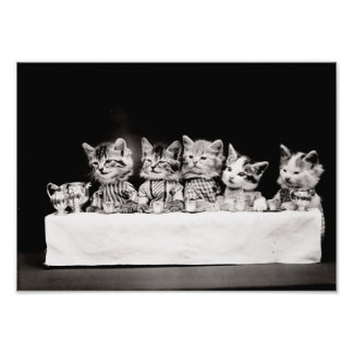 Kitty Tea Party Photo Print