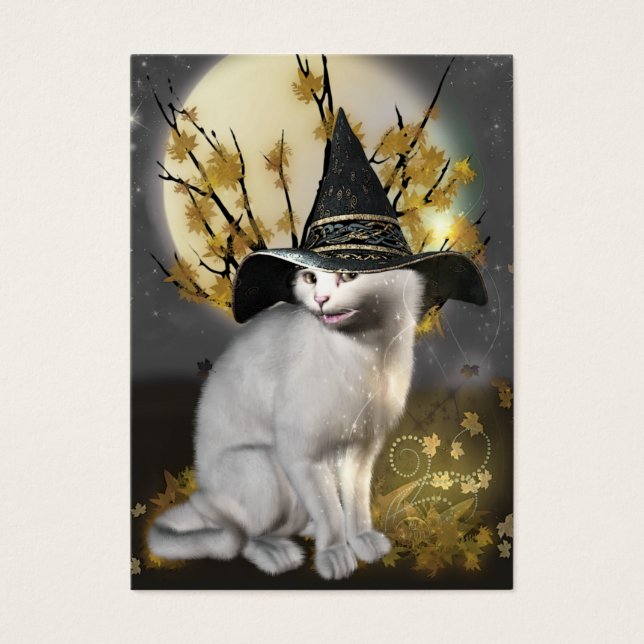 Kitty The Magical Witches Cat (Front)