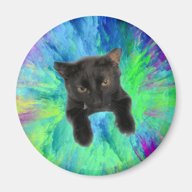 Kitty to hold papers to fridge magnet (Front)