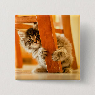 Kitty Under Chair 15 Cm Square Badge
