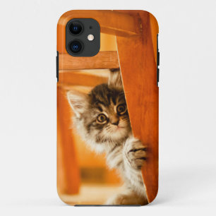Kitty Under Chair iPhone 11 Case
