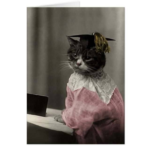 Kitty Valedictorian (Front)