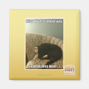 Kitty Wishes Magnet