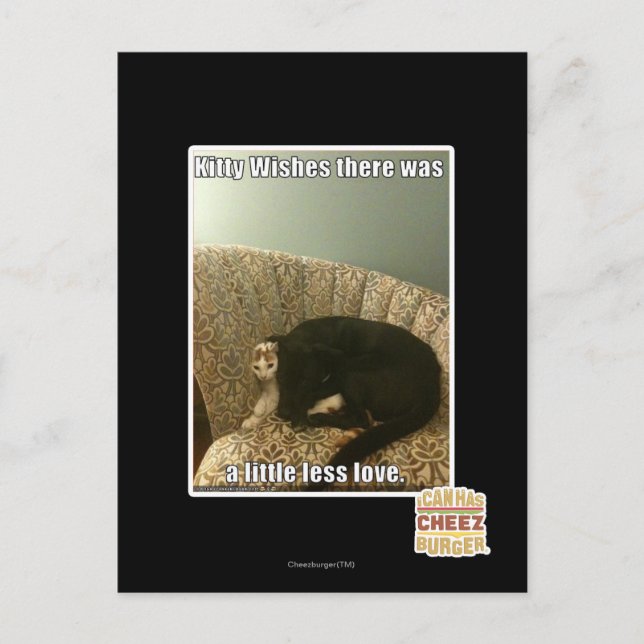 Kitty Wishes Postcard (Front)