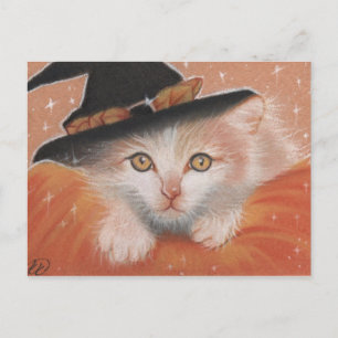 Kitty Witch Postcard