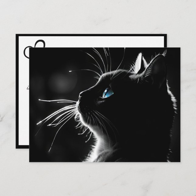Kitty With Backlight Glow Pet Sympathy Loss Postcard (Front/Back)
