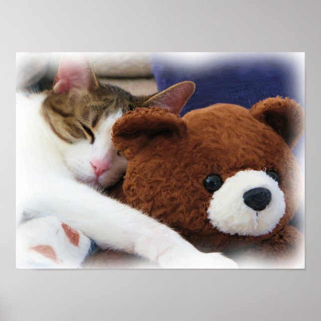 Kitty with Teddy Bear Print (Front)