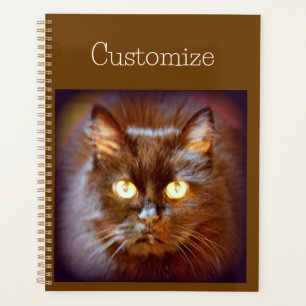 kittycat planner