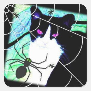 KittyCatSpiderWeb Square Sticker