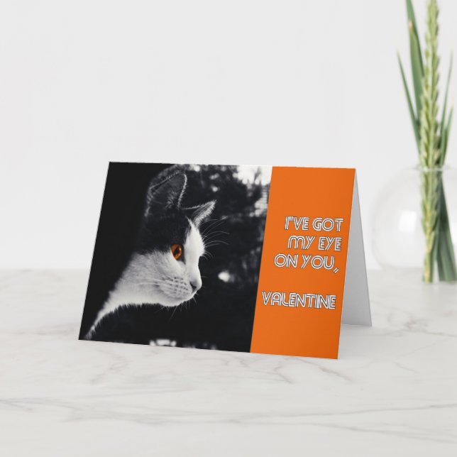 kitty's got his eye on you modern valentine holiday card (Front)