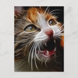 Kitty's Hungry Postcard