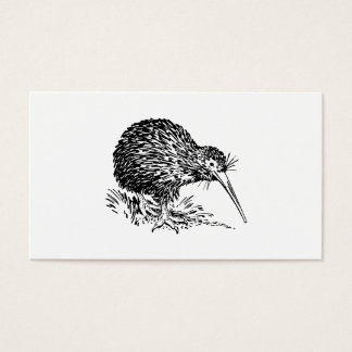 Kiwi Bird Art
