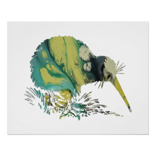 Kiwi Bird Art Poster