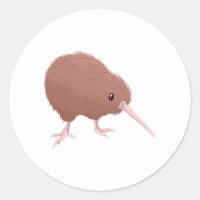 Kiwi Bird