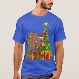 Kiwi Bird Lighting Xmas Tree Santa Hat Kiwi Christ T-Shirt
