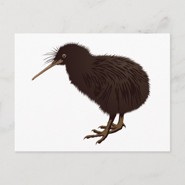Kiwi Bird Postcard (Front)