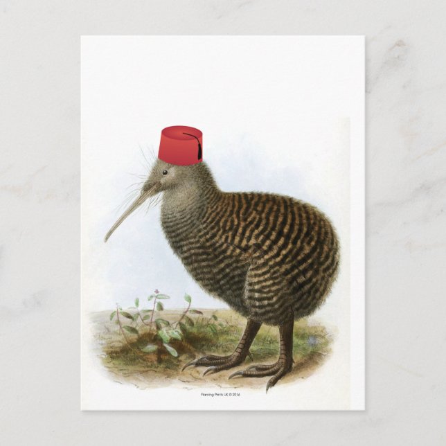 Kiwi Bird Wearing Fez Absurd Vintage Postcard (Front)
