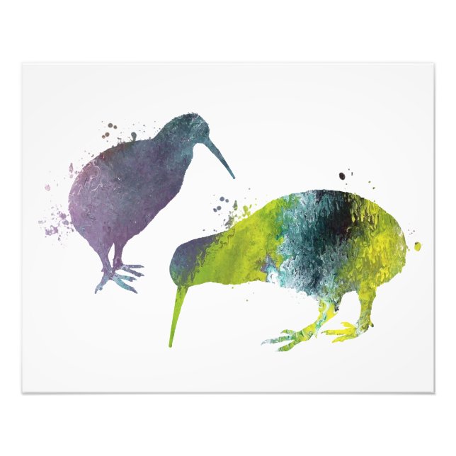 Kiwi birds photo print (Front)