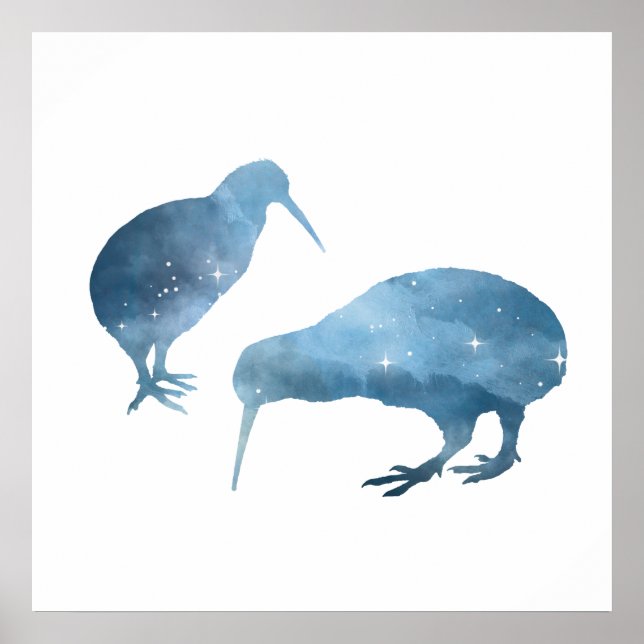 kiwi birds poster (Front)