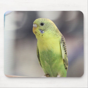 Kiwi Burbell Mouse Mat