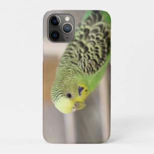 Kiwi iPhone 11 Pro Case