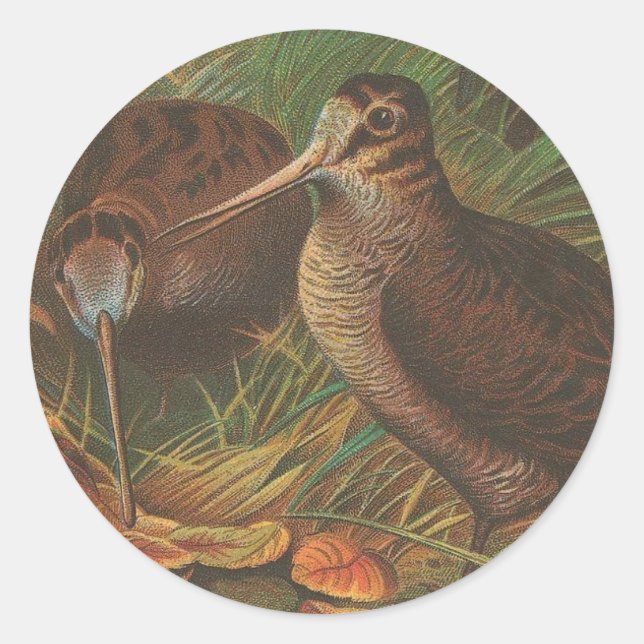 Kiwi Classic Round Sticker (Front)