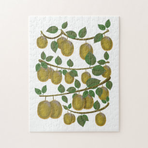 Kiwi Fruit Jigsaw Puzzle