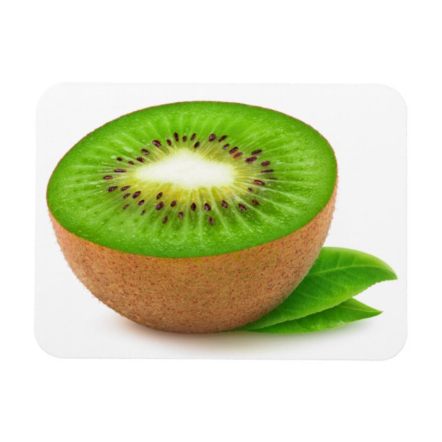 Kiwi fruit magnet (Horizontal)