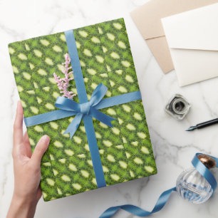 Kiwi fruit pattern wrapping paper