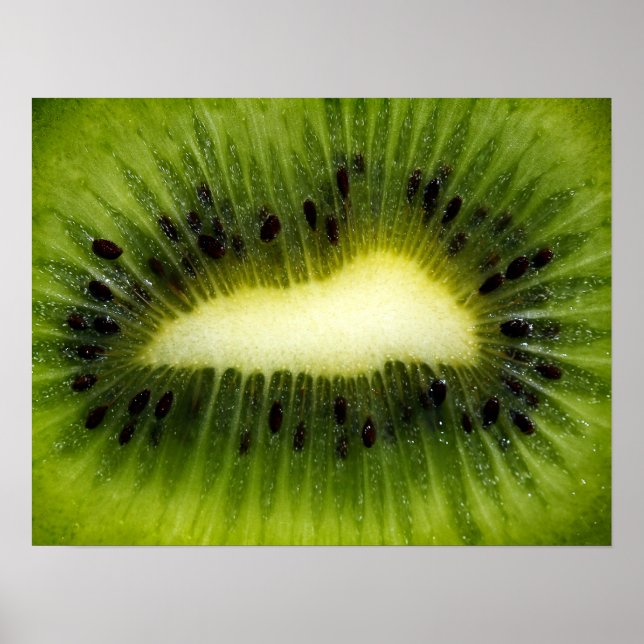 Kiwi Fruit Poster (Front)