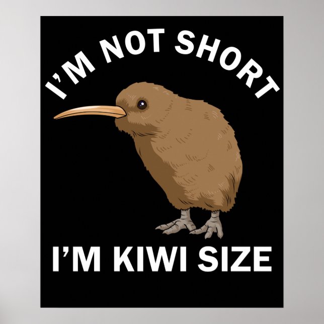 Kiwi Gift Men Kiwi Bird Women New Zealand Kiwi Poster (Front)