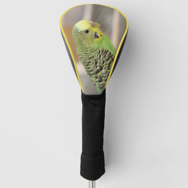 Kiwi  golf head cover (Front)