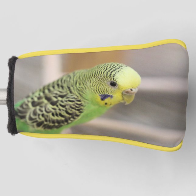 Kiwi  golf head cover (Front)