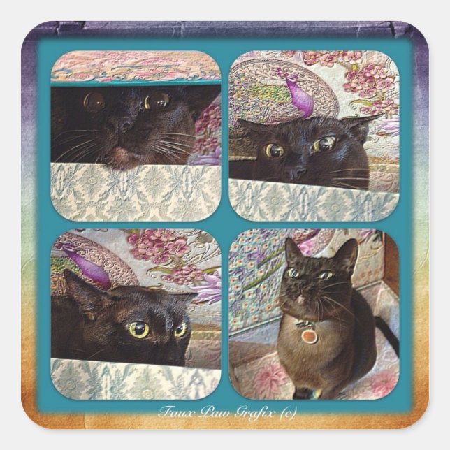 Kiwi in a Box, series 1, four images Square Sticker (Front)