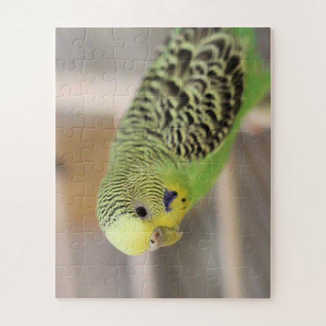 Kiwi Jigsaw Puzzle (Vertical)