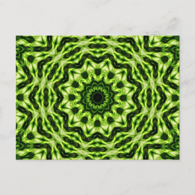 Kiwi Kaleidoscope Postcard (Front)