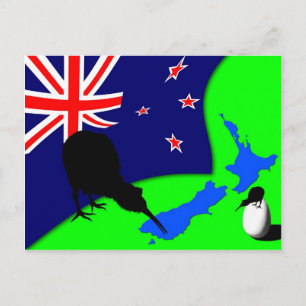 Kiwi Land, Kiwi Bird & Egg / New Zealand Postcard
