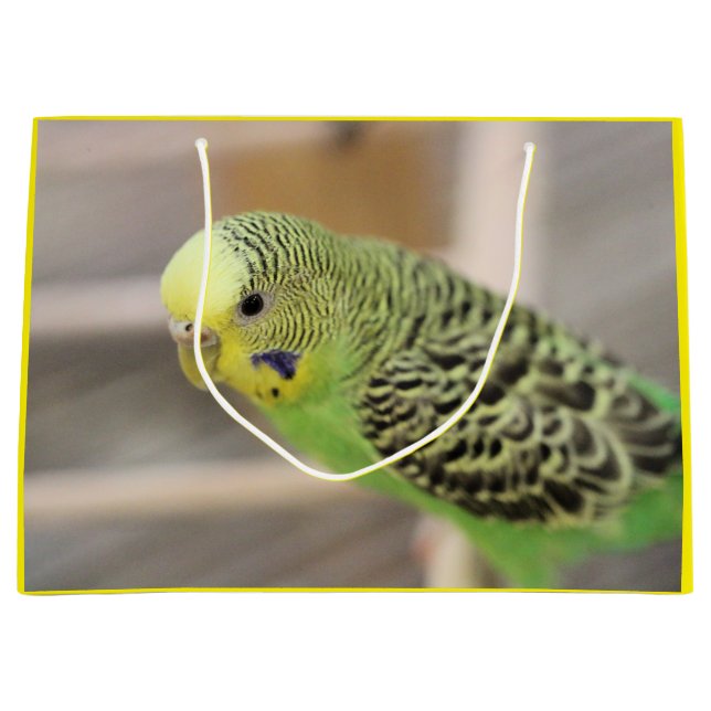 Kiwi Large Gift Bag (Front)