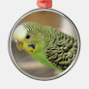 Kiwi Metal Tree Decoration