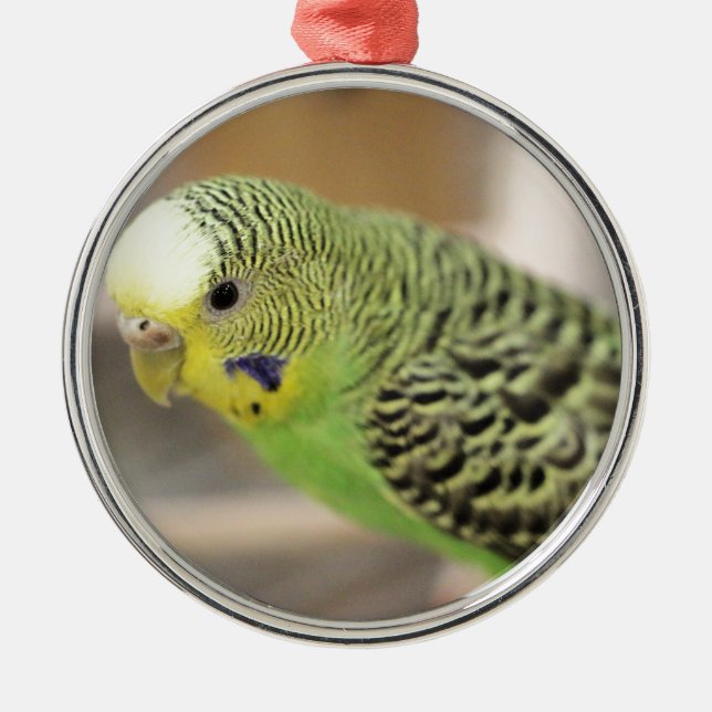 Kiwi Metal Tree Decoration (Front)
