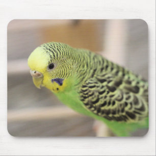 Kiwi Mouse Mat