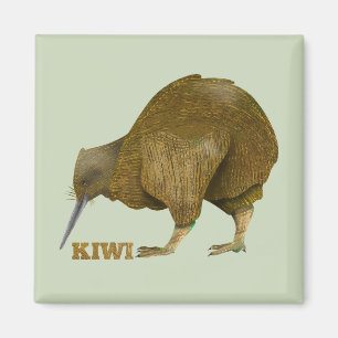 Kiwi N.Z. Bird Magnet
