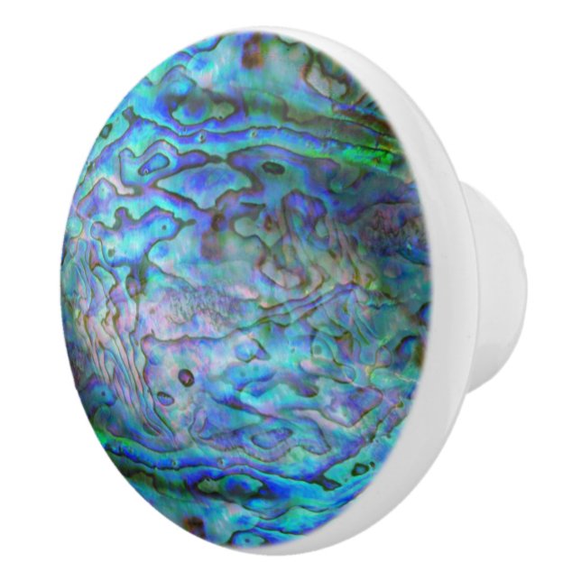 KIWI NEW ZEALAND PAUA  CERAMIC KNOB (Right)
