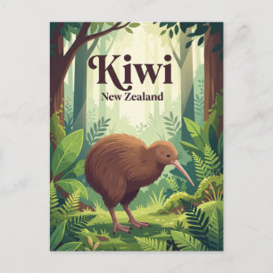 Kiwi, New Zealand Postcard