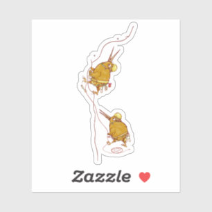 Kiwi NZ BIRDS ROCK CLIMBING